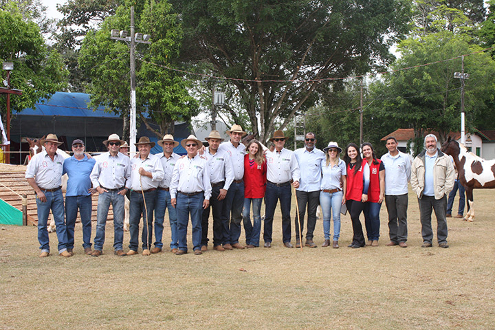 Enapampa 2017